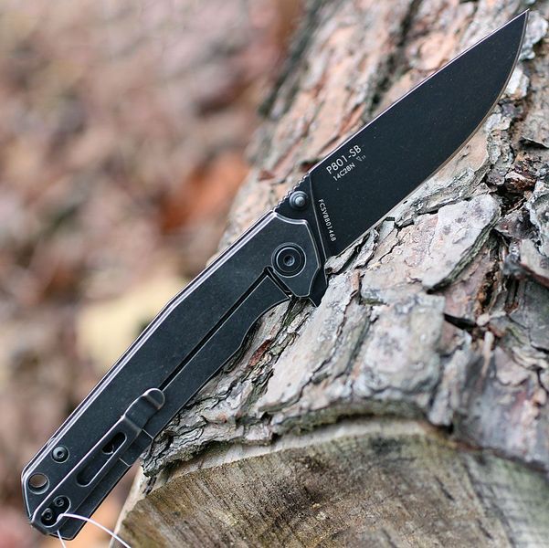 Ніж складаний Sandvik 14C28N Black Stonewash, сталь 3Cr14N, кліпса (P801-SB) RKE P801-SB фото